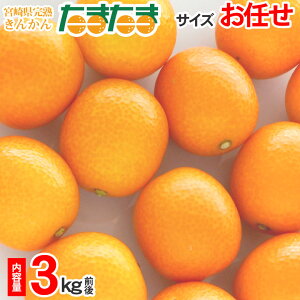 y1{珇zy 񂩂񂽂܂ 3kg TCYC z  {茧 { 񂩂 ܂ LJ 񂩂 n  LTCY n񂩂 3kg ݂͂Ђ O ݂