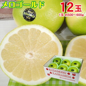 y11{珇zy S[h 12 z  AJ JtHjAY S[h 12 1 500`600g [S[h O[vt[c ƒp ݂ p ʕ 