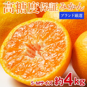 y11{珇zyYn uhI xۏ݂  4 kgz@ Yn uh I xۏ݂  4 kg x a̎R Lc B   F{ x ɑ Ӑ 