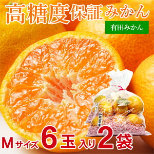 y11{珇zyxZT[ Lc ݂ MTCY 6  2܁z@ xZT[ Lc ݂ MTCY 6  2 x a̎R Lc 肽 x ɑ Ӑ 