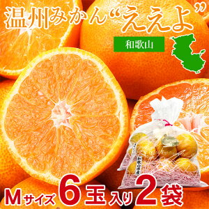 【10月中旬から順次発送】【和歌山 温州 みかん Mサイズ 6玉 入り 2袋】送料無料 和歌山 温州 みかん Mサイズ 6玉 入り 2袋 温州みかん 安心の自社検 有田 下津 和歌山 高糖度 極早生 晩成 みか