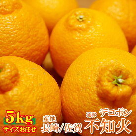 【3月初旬発送】 【 不知火 5kg 】送料無料 長崎県 長崎県産 不知火 デコポン 5kg 訳あり サイズお任せ キズ 規格外 長崎 長崎みかん みかん 国産 国産みかん ご家庭用 みかん ご自宅用 果物 くだもの フルーツ 敬老の日 ギフト 訳あり