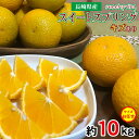 レビュー★4.83 【1月中旬から順次ご発送】【 スイートスプリング 10kg 】 送料無料 訳あり ちょっと訳あり 家庭用 産地直送 長崎県 みかん はっさく 八朔 約 10kg 長崎県産 長崎みかん 国産 国産みかん ご家庭用 みかん 温州早生 ご自宅用 果物 くだもの フルーツ ギフト