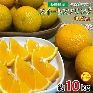 レビュー★4.83 【1月中旬から順次ご発送】【 スイートスプリング 10kg 】 送料無料 訳あり ちょっと訳あり 家庭用 産地直送 長崎県 みかん はっさく 八朔 約 10kg 長崎県産 長崎みかん 国産 国