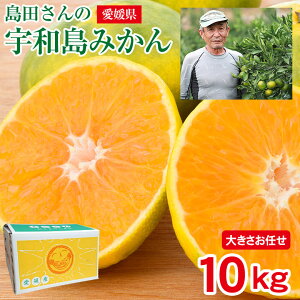 みかん 10kg 送料無料の人気商品 通販 価格比較 価格 Com