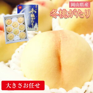 y12{珇z  y ~ 5`8 z Gi R R RY     ϔ Mtg R R     ̓ Mtg v[