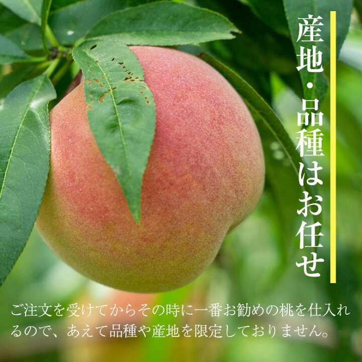 楽天市場】【7月7日から順次ご発送】【 桃 秀品 大玉 1玉300g以上 8玉 
