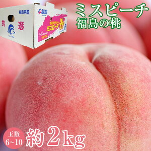 y8{菇z  \  Gi Y  ~Xs[`    2kg 6`10 ƒp   ߎ ZT[ ܂ǂ 쒆 䂤  甒 