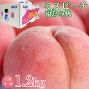 【8月中旬より順次ご発送】 桃 予約 送料無料 秀品 福島県産 福島 ミスピーチ 白桃 桃 1.2kg 4〜6玉 ご家庭用 福島県 福島 透過式 光センサー まどか 川中島白桃 ゆうぞら 黄金桃 さくら白桃 もも モモ ギフト プレゼント ご自宅用 果物 くだもの フルーツ