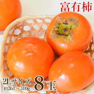 y11{珇zyn挵I xL` 2L TCY 8ʁz  a̎R ޗǌ xL` ƒp 8ʔ 2L 261g~310g H ` Ê` Ќi ޗǌY ޗ a̎R A JL  