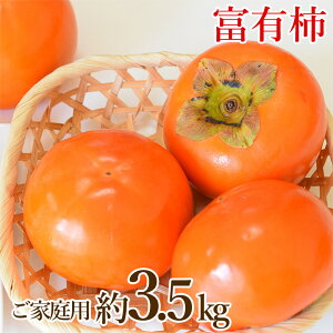 yzyn挵I xL` TCYC  3.5kgz  n挵I xL` TCYC  3.5kg H ` Ê` Ќi ޗǌY ޗ a̎R A JL  p ʕ 