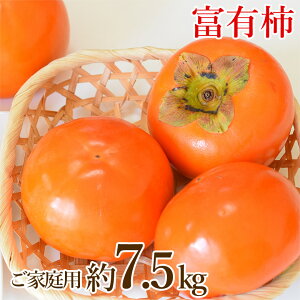 yzyn挵I xL` TCYC  7.5kgz  n挵I xL` TCYC  7.5kg H ` Ê` Ќi ޗǌY ޗ a̎R A JL  p ʕ 