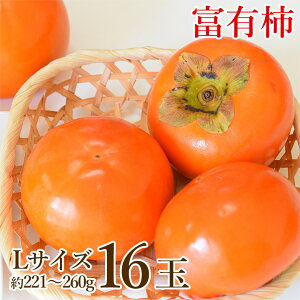 y11{珇zyn挵I xL` L TCY 16ʁz  a̎R ޗǌ xL` ƒp 16ʔ L 221g~260g H ` Ê` Ќi ޗǌY ޗ a̎R A JL  