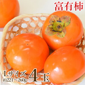 y11{珇zyn挵I xL` L TCY 4ʁz  a̎R ޗǌ xL` ƒp 4ʔ L 221g~260g H ` Ê` Ќi ޗǌY ޗ a̎R A JL  