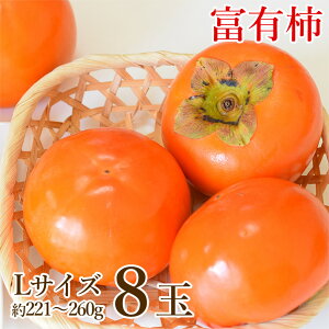 y9/20聚1ő100|CgobNIvGg[zy11{珇zyn挵I xL` L TCY 8ʁz  a̎R ޗǌ xL` ƒp 8ʔ L 221g~260g H ` 