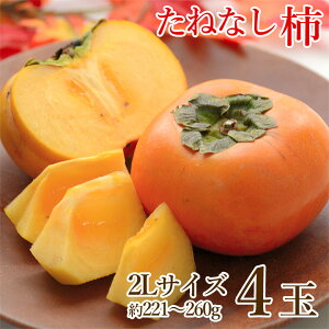 y10{珇zyn挵I ˂Ȃ` 2L TCY 4ʁz  ˂Ȃ` 2L 4  221g ` 260g ʔ j j` H ` ޗǌ a̎R ƒp ` JL  p 