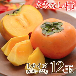 y10{珇zyn挵I ˂Ȃ` L TCY 12ʁz  ˂Ȃ` L 12  191g ` 220g ʔ j j` H ` ޗǌ a̎R ƒp ` JL  p 