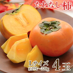 y10{珇zyn挵I ˂Ȃ` L TCY 4ʁz  ˂Ȃ` L 4  191g ` 220g ʔ j j` H ` ޗǌ a̎R ƒp ` JL  p 