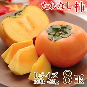 y10{珇zyn挵I ˂Ȃ` L TCY 8ʁz  ˂Ȃ` L 8  191g ` 220g ʔ j j` H ` ޗǌ a̎R ƒp ` JL  p 