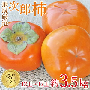 y11{珇zy Y` Gi 3.5kg z  n挵I H ` 3.5kg 12 ` 17 Gi ƒp ` JL p ʕ  t[c hV̓ Mtg v[g A