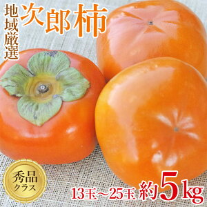 y9/20聚1ő100|CgobNIvGg[zy11{珇zy Y` Gi 5kg z  n挵I Y` H ` 5kg 13 ` 25 Gi ƒp ` JL p 