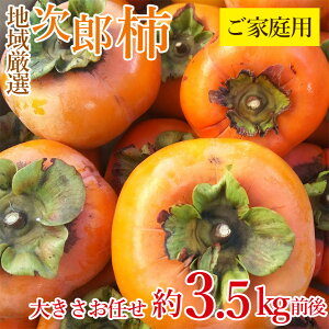 y11{珇zy Y` ƒp 3.5kg z n挵I Y` H `  3.5kg O 傫܂ 傫 ܂ 󂠂 ƒp ` JL p ʕ  t[c hV