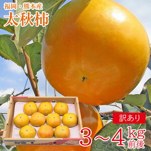 y10{珇z  F{Y F{   H` 傫C  3kg ` 4kg ƒp F{  ` JL p ʕ  t[c hV̓ Mtg v[