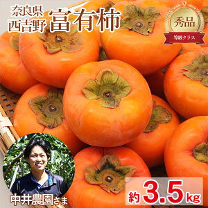 y11{珇z  ޗǌ xL` Gi 3.5kg H ` Ê` Ќi ޗǌY ޗ g ƒp JL  p ʕ  t[c hV̓ Mtg v[