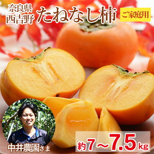 y10{珇z  ޗǌ ˂Ȃ` ƒp  7kg ` 7.5kg  j j` H ` Yn ޗ g ƒp ` JL  A ƒp ʕ  t