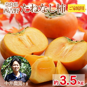 y10{珇z  ޗǌ ˂Ȃ` ƒp 3.5kg  j j` H ` Ќi ޗ g A ƒp p ` JL  p ʕ  t