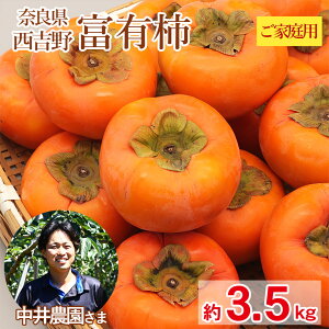 y11{珇z  ޗǌ xL` ƒp 3.5kg H ` Ê` Ќi ޗǌY ޗ g A JL  p ʕ  t[c hV̓ Mtg v[