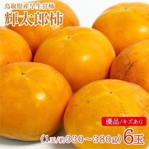 y10{珇z  挧Y PY ` PY` 挧  ` 6ʁi1ʖ330g~380gj Gi  ƒp ` JL p ʕ  t[c hV̓ Mtg v