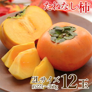 y9/20聚1ő100|CgobNIvGg[zy10{珇zyn挵I ˂Ȃ` 2L TCY 12ʁz  ˂Ȃ` 2L 12  221g ` 260g ʔ j j