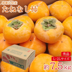 y10{珇z a̎RY ˂Ȃ`  7.5kg Gi LTCY 2LTCY ƒp ` JL p ʕ  t[c Mtg v[g a̎R Ȃ 햳 a` 