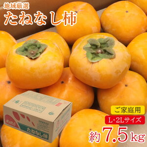 y10{珇z n挵I ˂Ȃ`  7.5kg LTCY 2LTCY ƒp ` JL p ʕ  t[c Mtg v[g a̎R Ȃ 햳 a` H ~ 