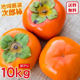 楽天市場 次郎柿の通販