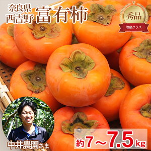 y11{珇z  ޗǌ xL` Gi  7kg ` 7.5kg H ` Ê` Yn ޗǌY ޗ g ƒp JL  p ʕ  t[c hV̓ Mtg v