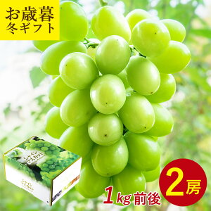 y11211210ɏz y 2[ 1kg O Ε ~Mtg VC}XJbg z  n挵I  ƒp }XJbg VC}XJbg 2[ Ԃǂ Mtg 󂠂 hV