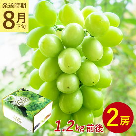 【8月下旬から9月中旬より順次発送】【 2房 1.2kg 前後 シャインマスカット 】 送料無料 地域厳選 粒 ご家庭用 マスカット ぶどう ギフト お中元 暑中見舞い 訳あり 敬老の日 ギフト プレゼント