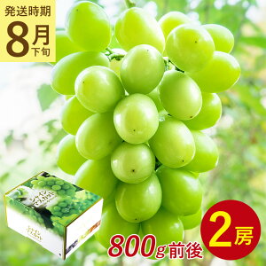 y8{9{菇zy 2[ 800g O VC}XJbg z  n挵I  ƒp }XJbg Ԃǂ Mtg   󂠂 hV̓ Mtg v[g