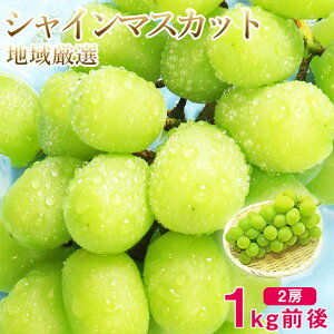 y1125珇z\ VC}XJbg 2[ 1kg O  n挵I R  R  󂠂 ƒp }XJbg Ԃǂ Mtg   hV̓ Mtg v