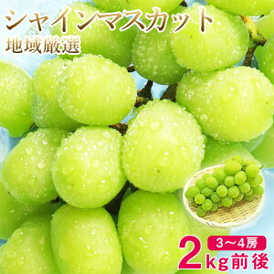 y1125珇z\ VC}XJbg 3`4[ 2kg O  n挵I R  R  󂠂 ƒp }XJbg Ԃǂ Mtg   hV̓ Mtg 