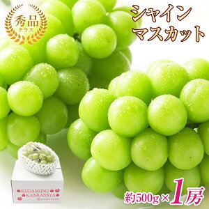 【順次ご発送中】【 シャインマスカット 秀品 1房あたり 約500g 1房 】 秀品 1房 約 500g 送料無料 シャ