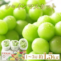 楽天市場】シャインマスカット5kg 訳ありの通販