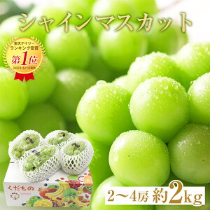 ���r���[��4.30�y�y8�����{��菇�������� �z�y �V���C���}�X�J�b�g ���ƒ�p �� 2kg 2�[ ~ 4�[ �z �D�i �� 2kg 2�`4�[ �������� �V���C���}�X�J�b�g �n�挵�I ���R �R�� ���� ���� ���ƒ�p �}�X