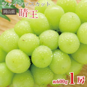 y9{珇z  VC}XJbg  R V}XJbg  600g 1[ R RY ƒp }XJbg Ԃǂ Mtg   󂠂 hV̓ Mt