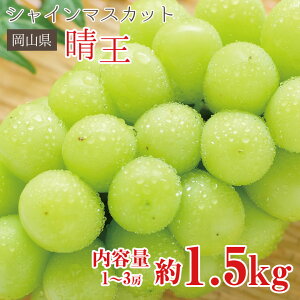 yz  VC}XJbg  R V}XJbg  1.5kg 1`3[ R RY ƒp }XJbg Ԃǂ Mtg   󂠂 hV̓ Mtg v