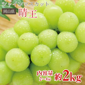 yz  VC}XJbg  R V}XJbg  2kg 2`4[ R ƒp }XJbg Ԃǂ Mtg   󂠂 hV̓ Mtg v[g
