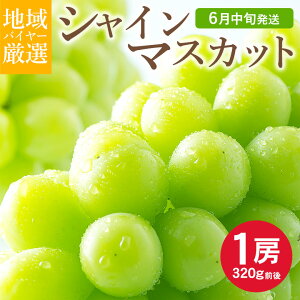 y6{珇z  n挵I VC}XJbg A 1[ 320g O nEX͔| R R 쌧 쌧 ƒp }XJbg Ԃǂ Mtg   