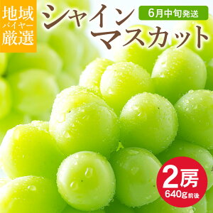 y6{珇z  n挵I VC}XJbg A 2[ 640g ȏ nEX͔| R R 쌧 쌧 ƒp }XJbg Ԃǂ Mtg   